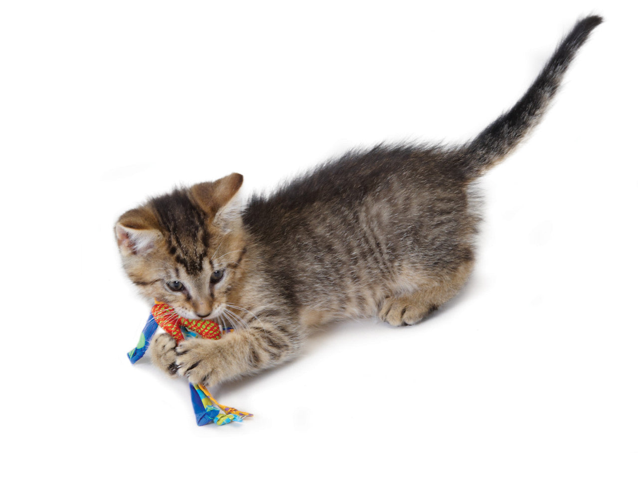 Catstages Catnip Dental Health - Juguetes para Gatos