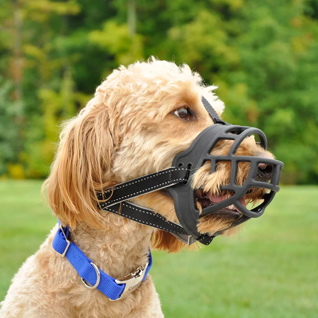 Coastal Bozal Soft Basket - Bozales para Perro