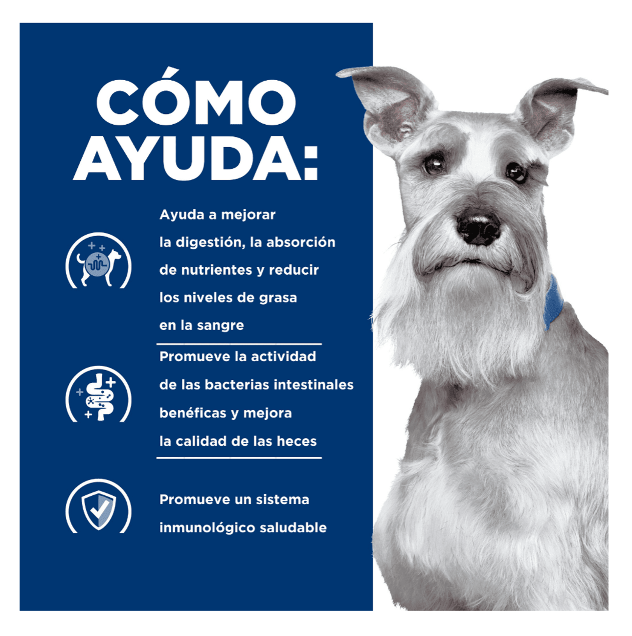 Hills Prescription Diet i/d Low Fat Lata - Alimento Húmedo para Perros