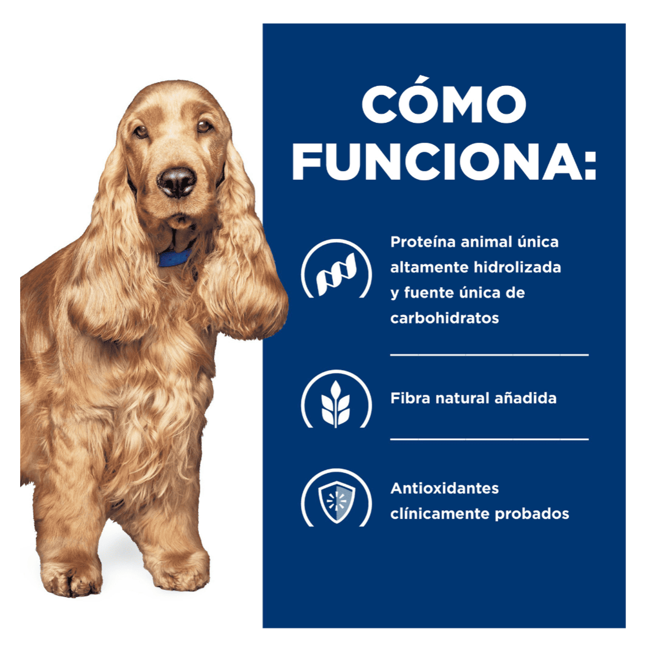 Hills Prescription Diet z/d Lata - Alimento Húmedo para Perros