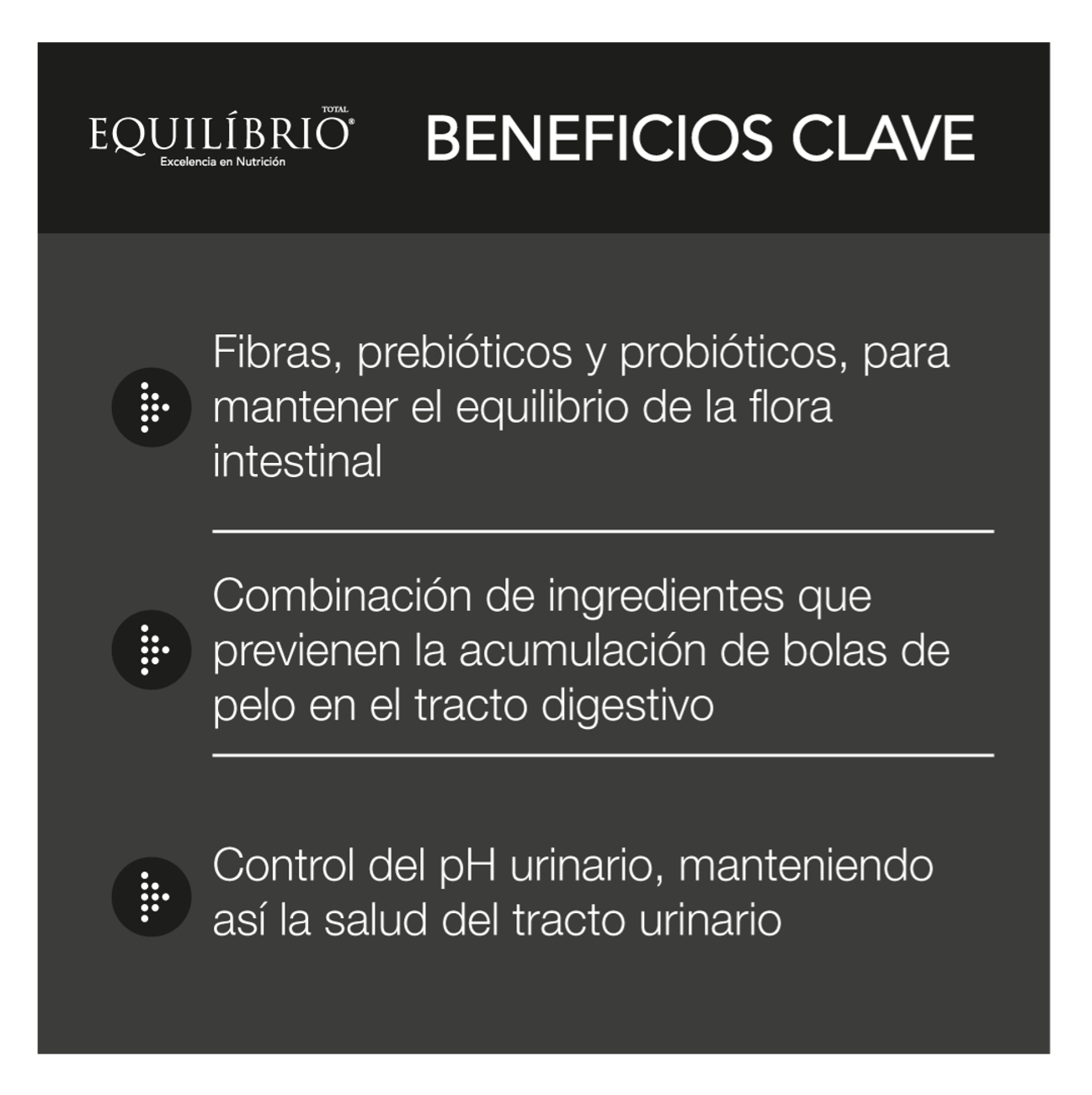 Equilíbrio Gatos Adultos - Alimento para Gatos