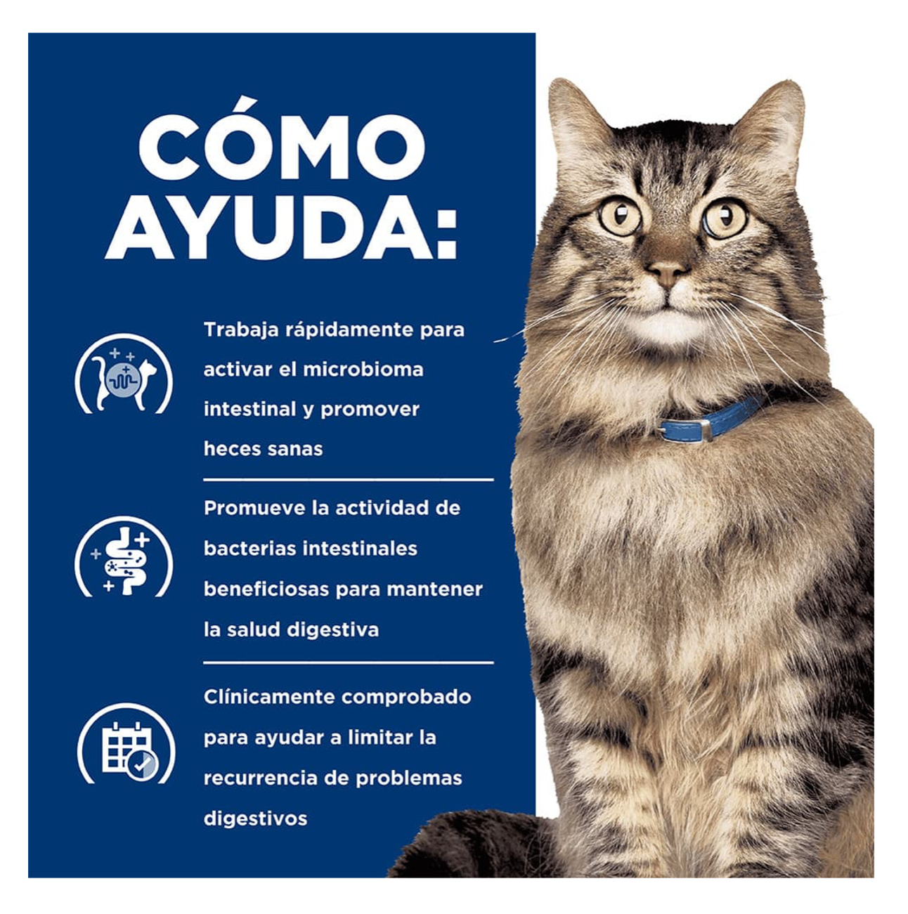 Hills Prescription Diet Gastrointestinal Biome - Alimento para Gatos