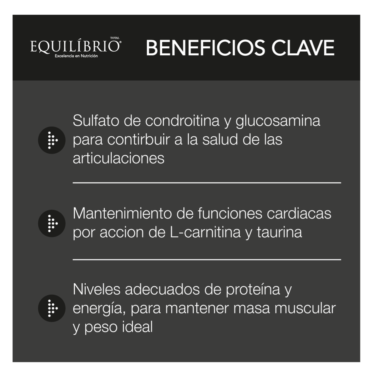 Equilíbrio Adultos Razas Grandes - Alimento para Perros