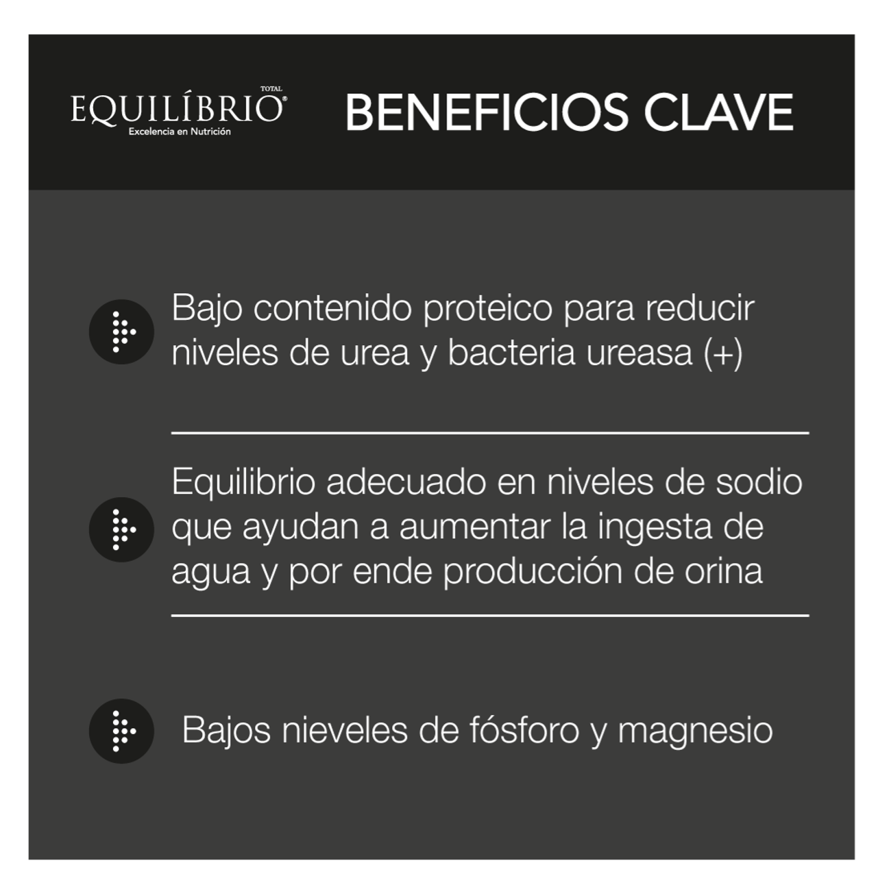 Equilíbrio Veterinary Urinary - Alimento para Perros