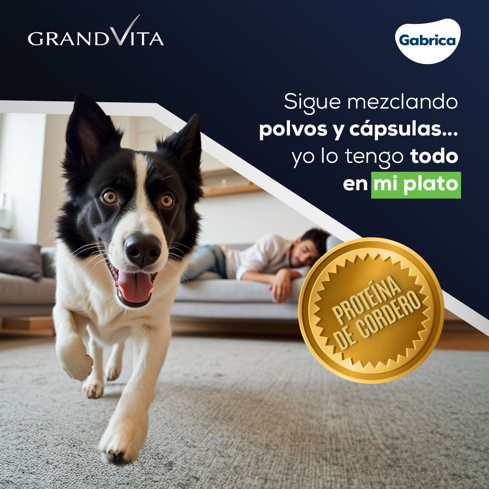 Grand Vita Adultos Cordero - Alimento para Perros