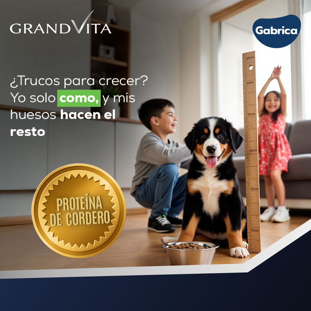 Grand Vita Cachorros Cordero - Alimento para Perros
