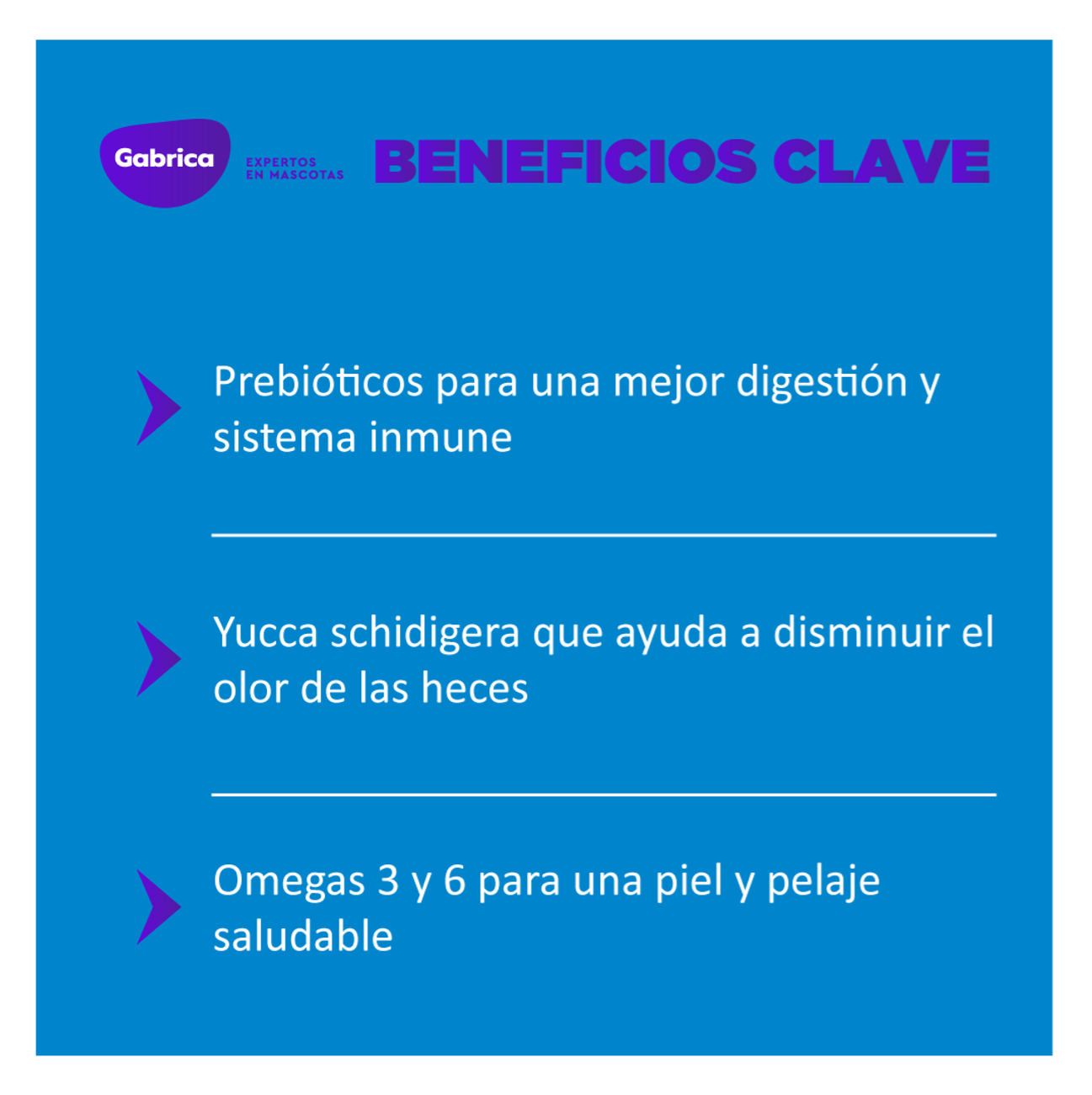 Guaumor Adulto Razas Medianas y Grandes - Alimento para Perros
