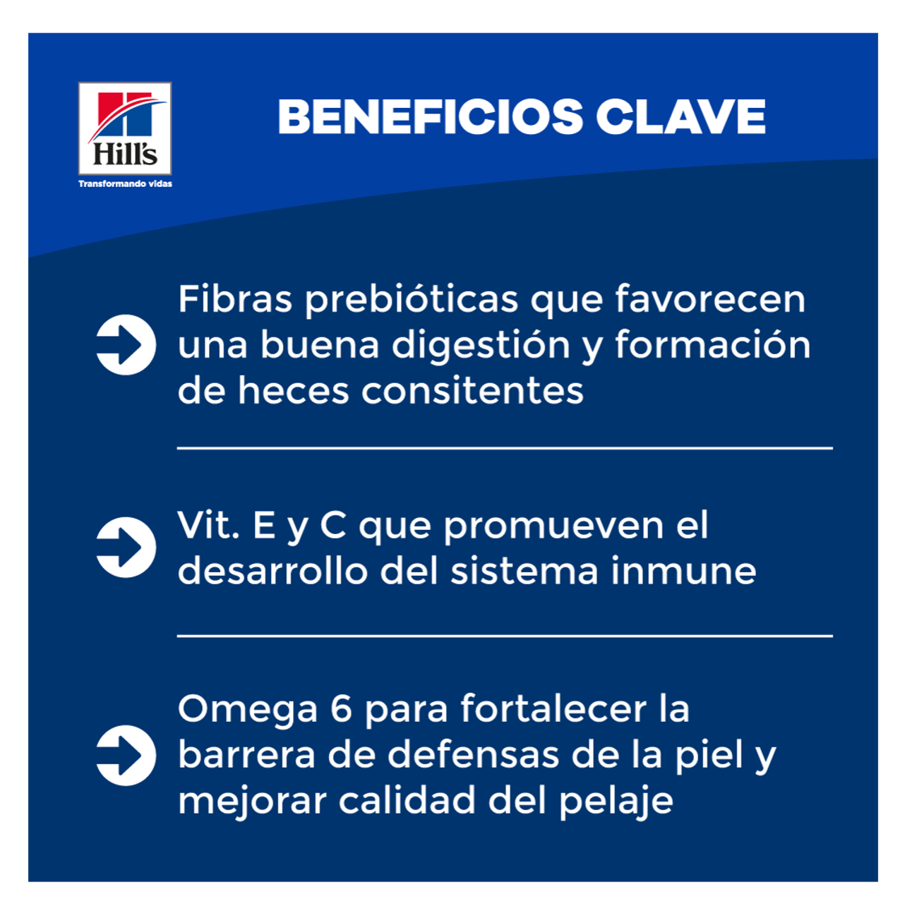 Hills Sensitive Stomach and Skin Small and Mini - Alimento para Perro