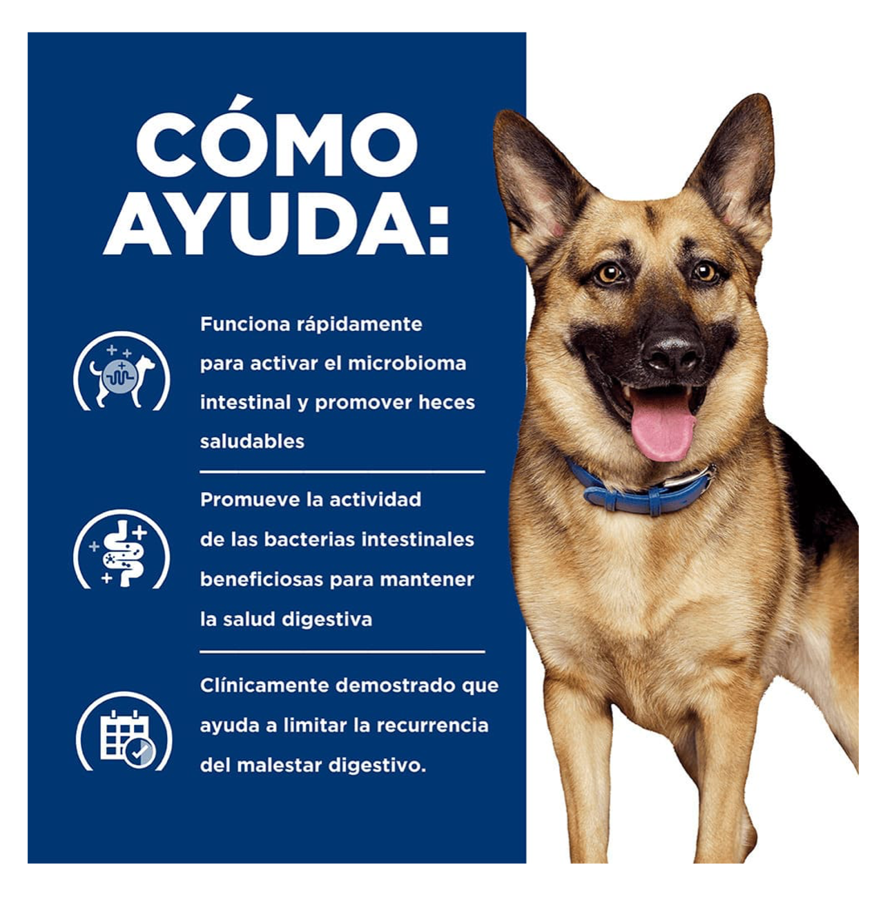 Hills Prescription Diet Gastrointestinal Biome - Alimento para Perros