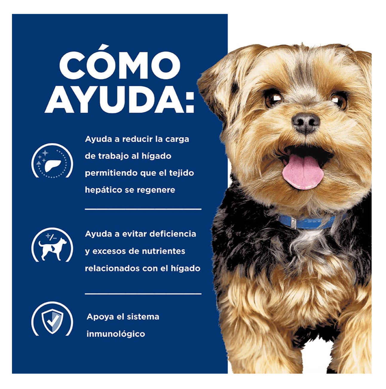 Hills Prescription Diet l/d - Alimento para Perros