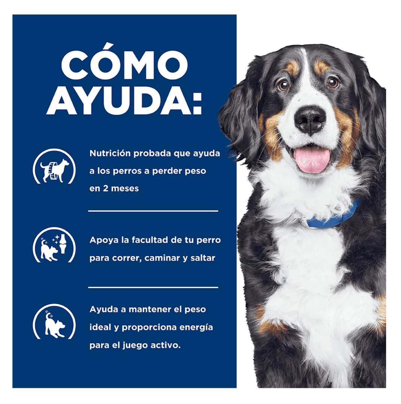 Hills Prescription Diet Metabolic + Mobility - Alimento para Perros