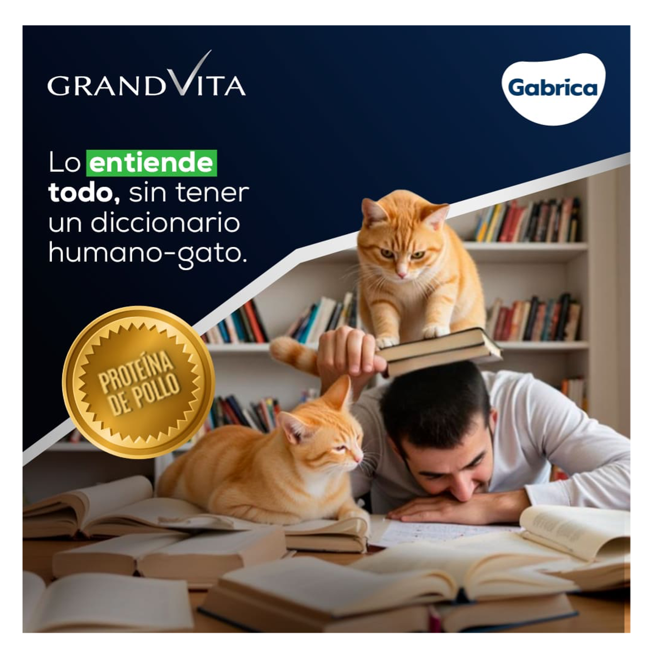 Grand Vita Gato Adulto - Alimento para Gatos