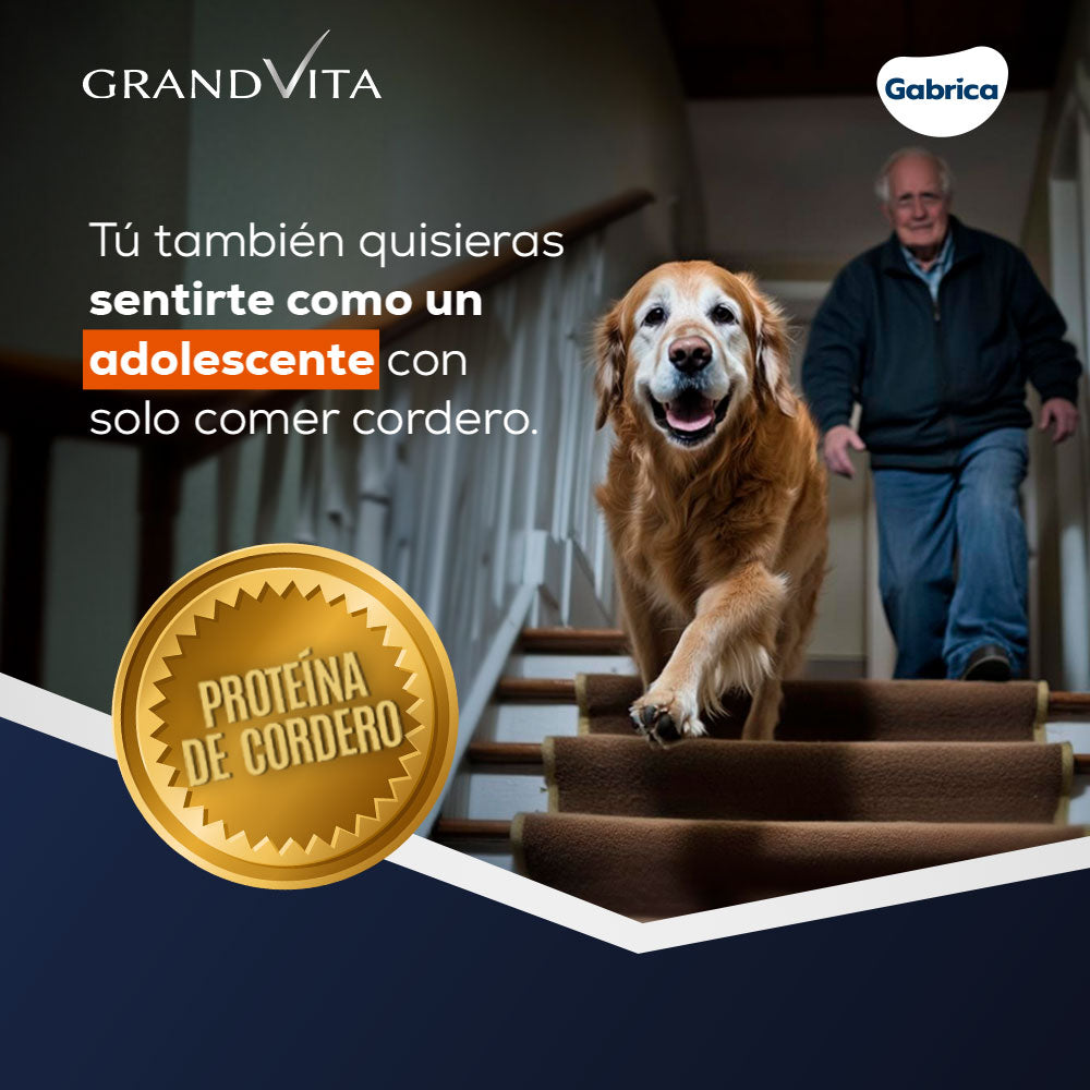 Grand Vita Adulto Senior 7+ Cordero - Alimento para Perros