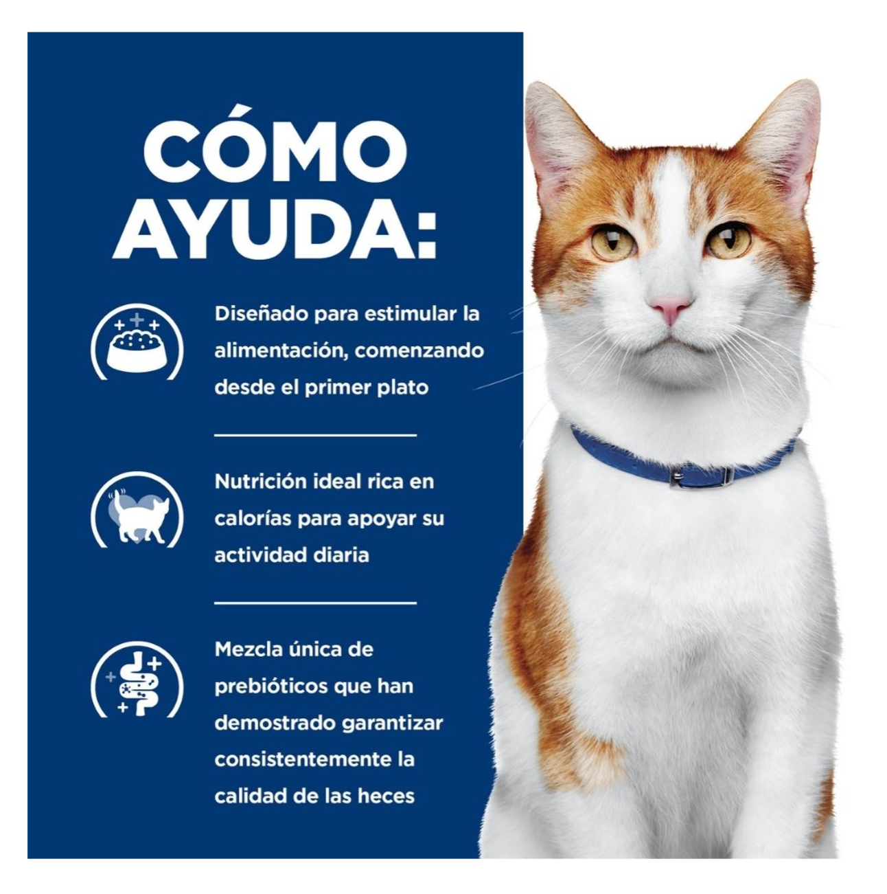 Hills Prescription Diet ONC Care - Alimento para Gatos
