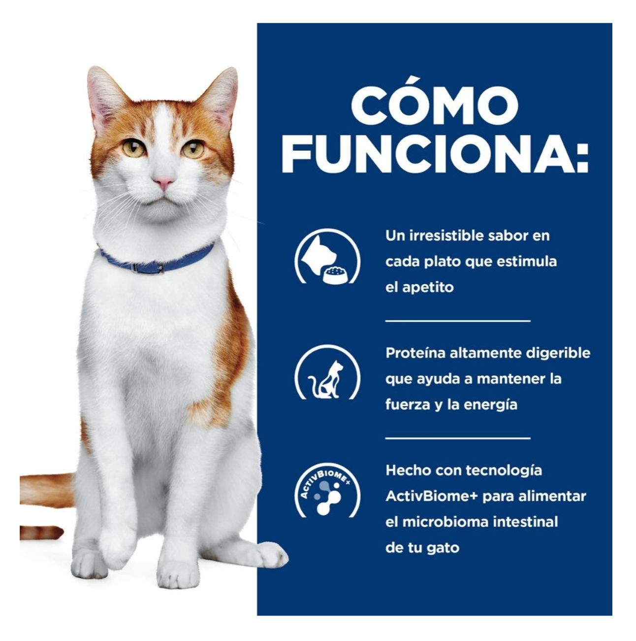 Hills Prescription Diet ONC Care - Alimento para Gatos