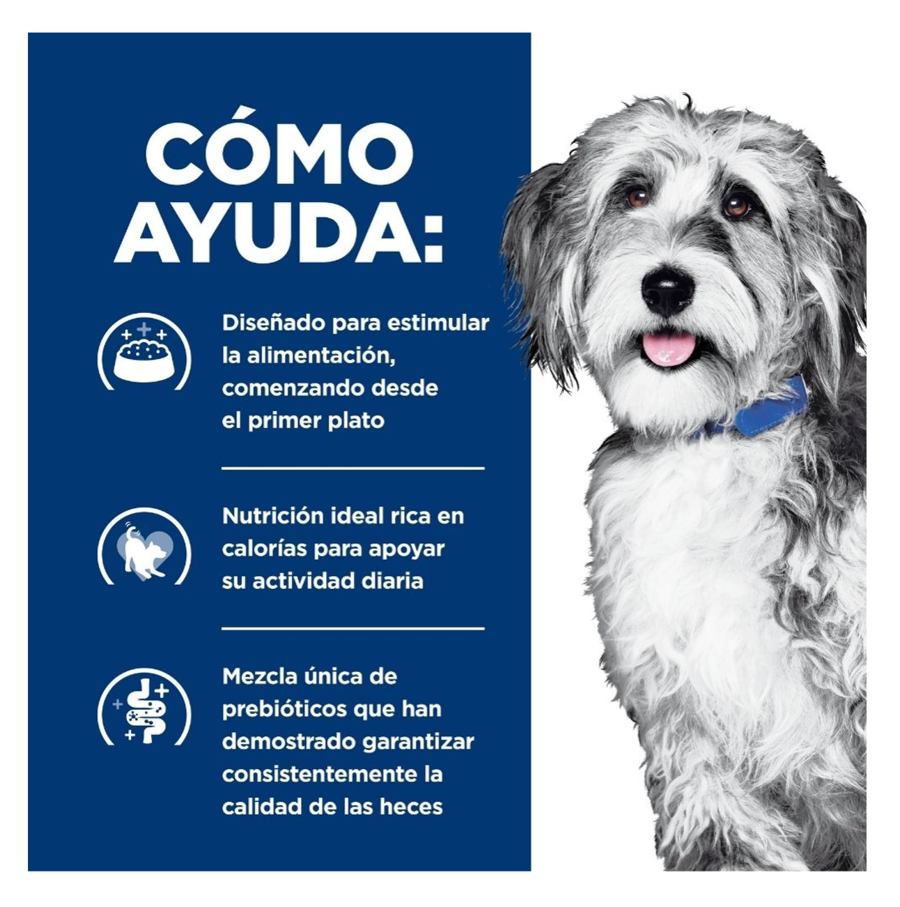 Hills Prescription Diet ONC Care para Perros - Alimento para Perros