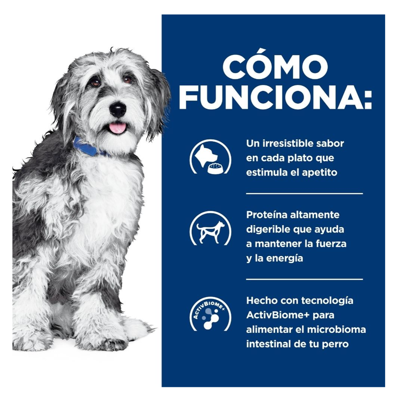 Hills Prescription Diet ONC Care para Perros - Alimento para Perros