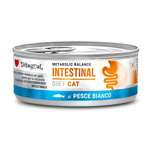Disugual Metabolic Balance Cat Intestinal Pescado Blanco - Alimento Húmedo para Gatos