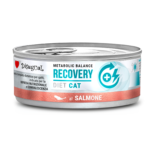 Disugual Metabolic Balance Cat Recovery Salmón - Alimento Húmedo para Gatos