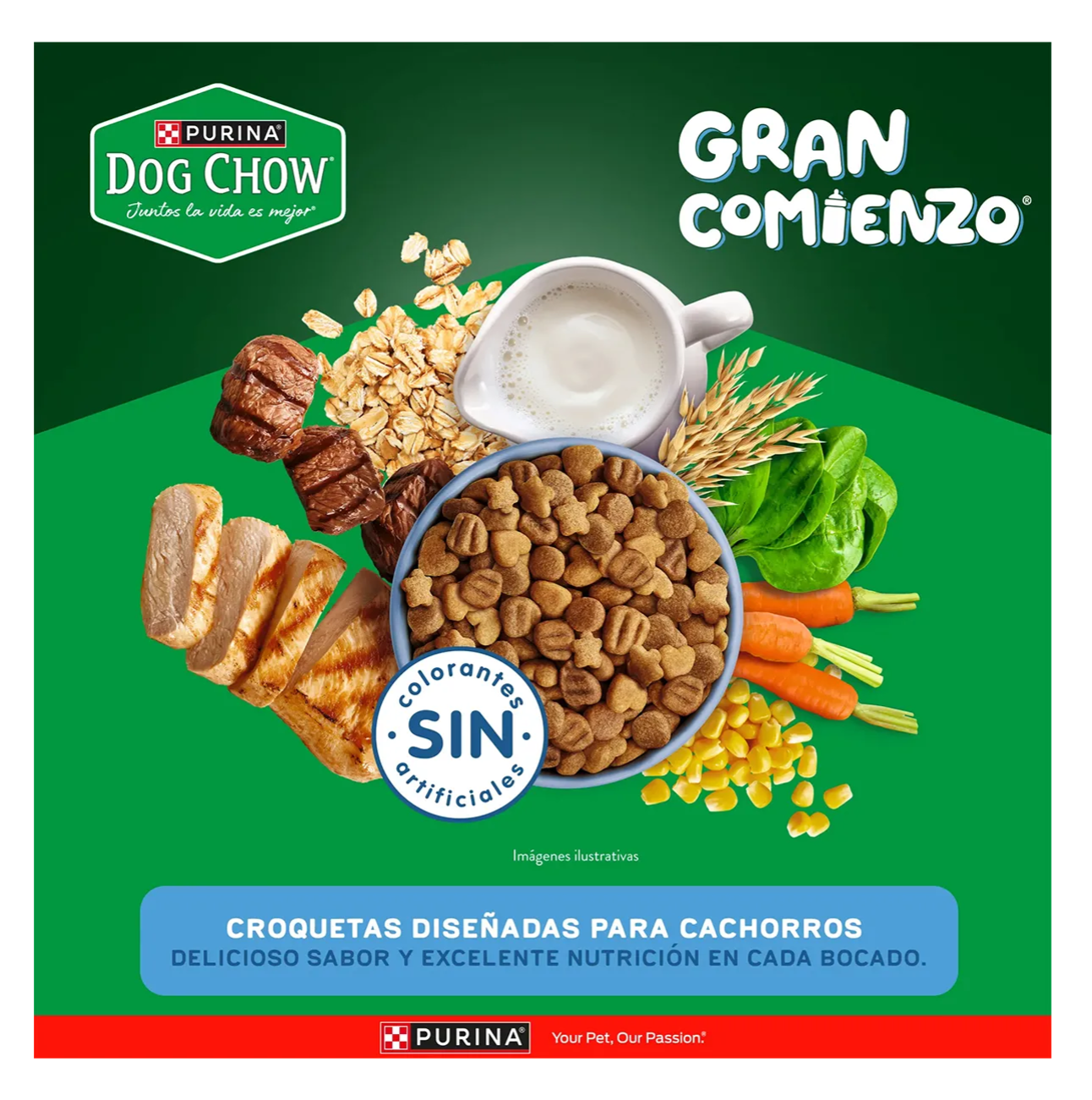 Dog Chow Cachorros Medianos y Grandes - Alimento para Perros