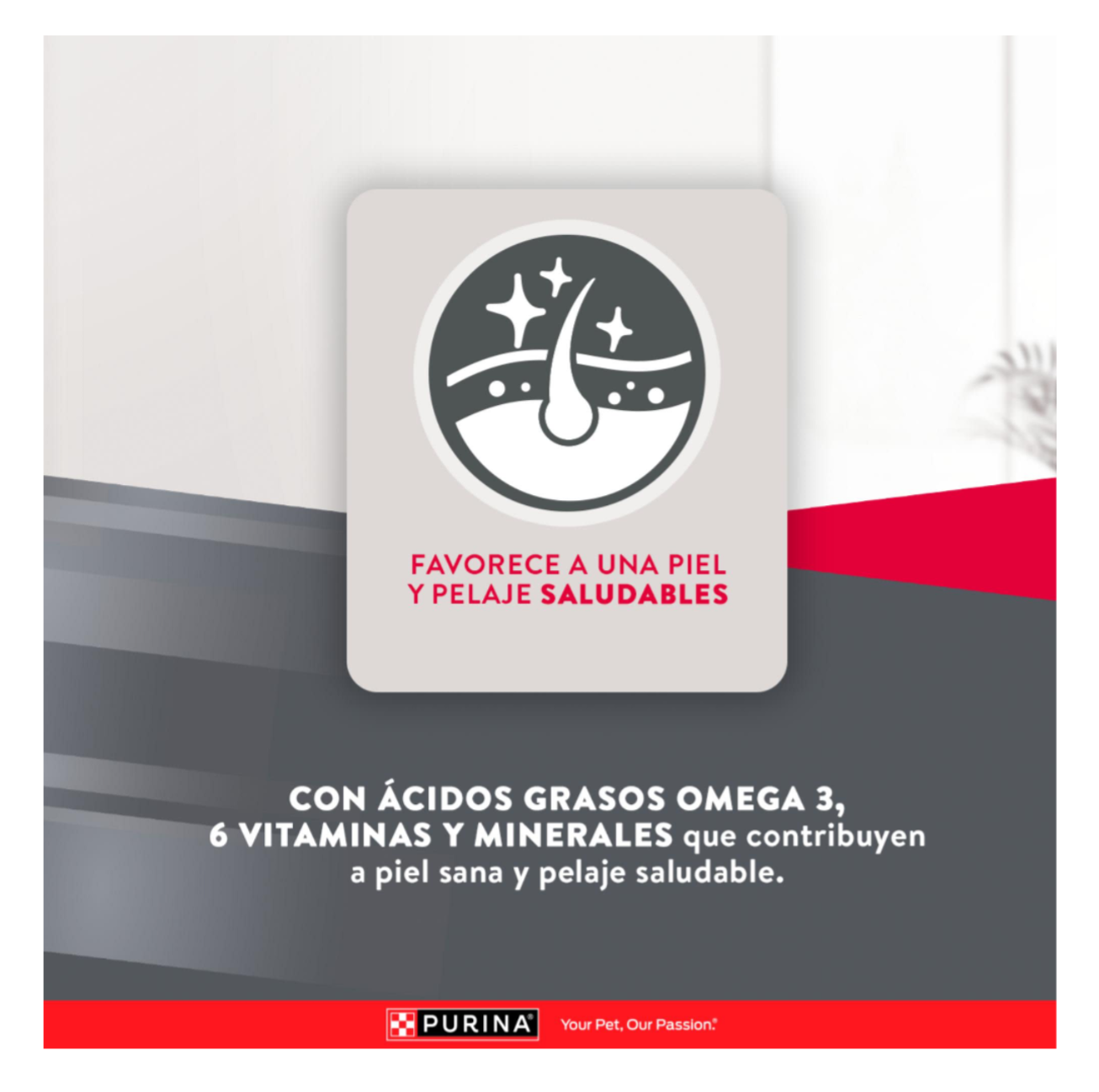 Excellent Adulto Razas Pequeñas - Alimento para Perros