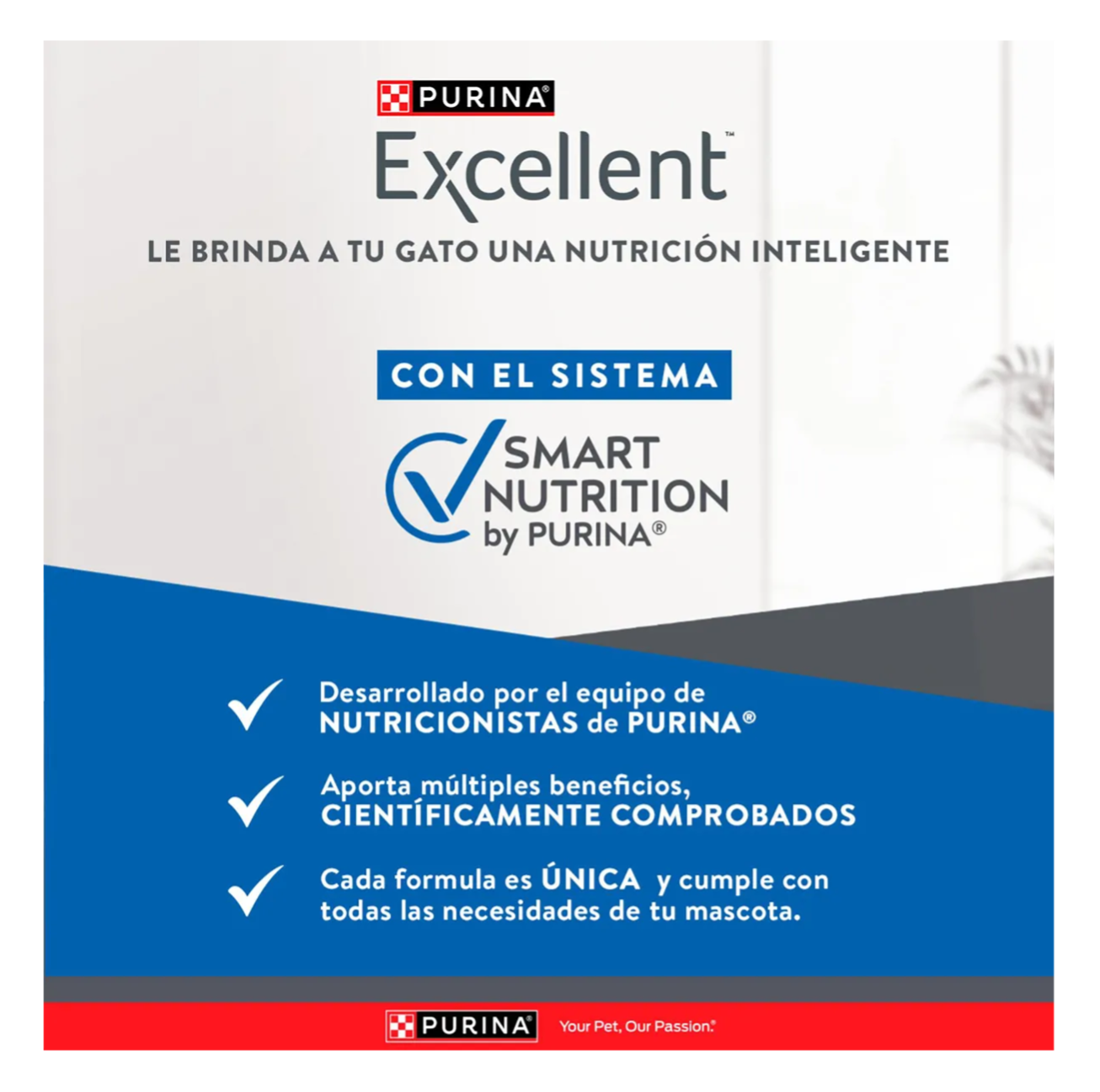 Excellent Gatitos - Alimento para Gatos