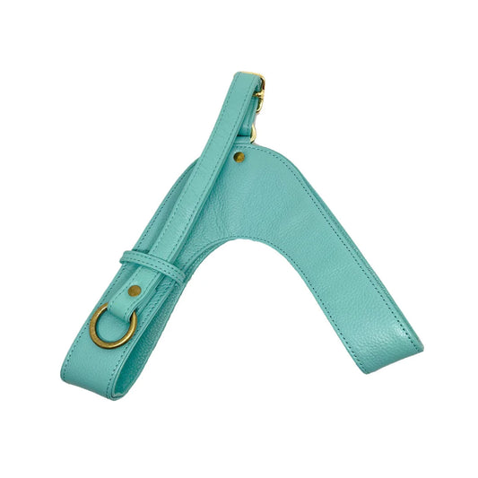 Feroz Arnés de Cuero Turquesa - Arnés para Perros