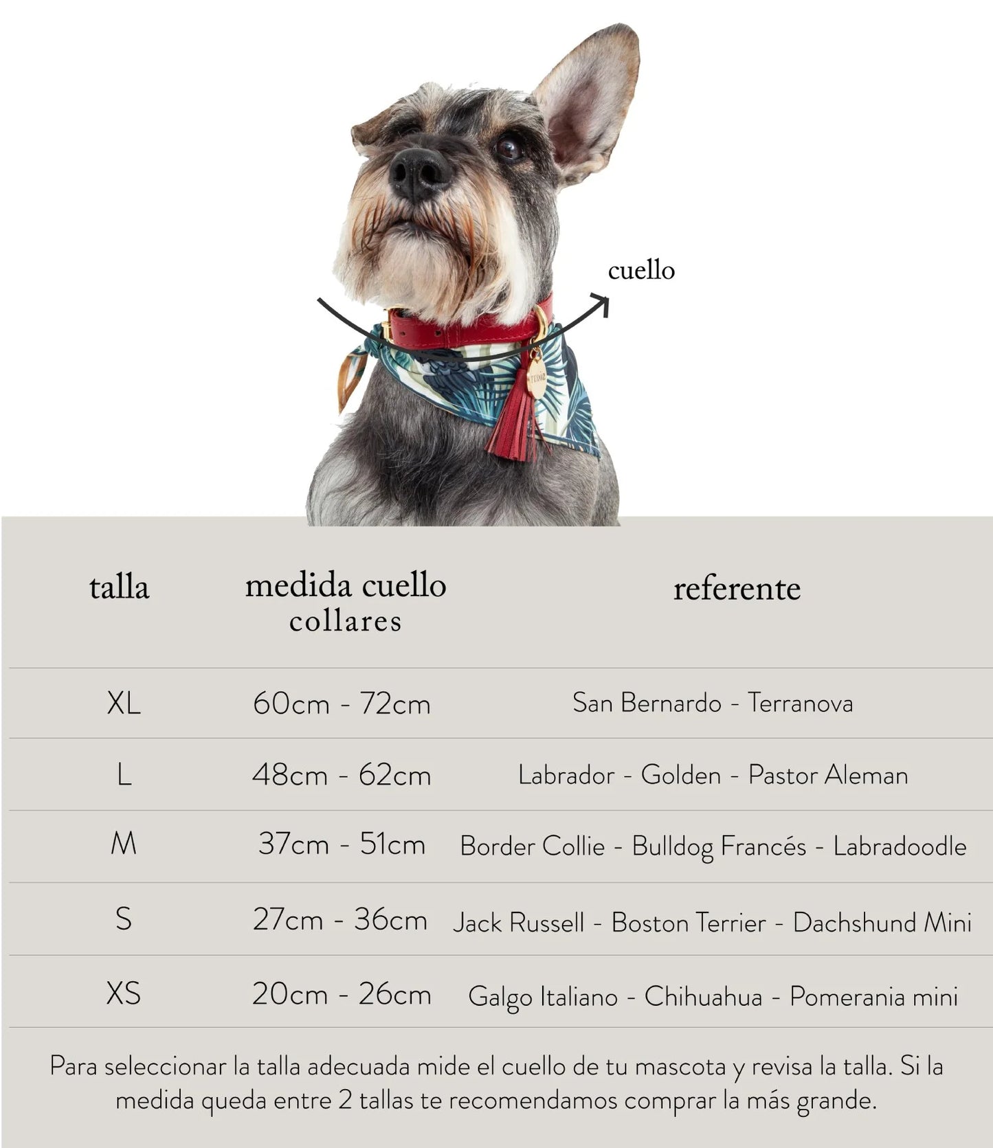 Feroz Collar de Cuero - Collares para Perros