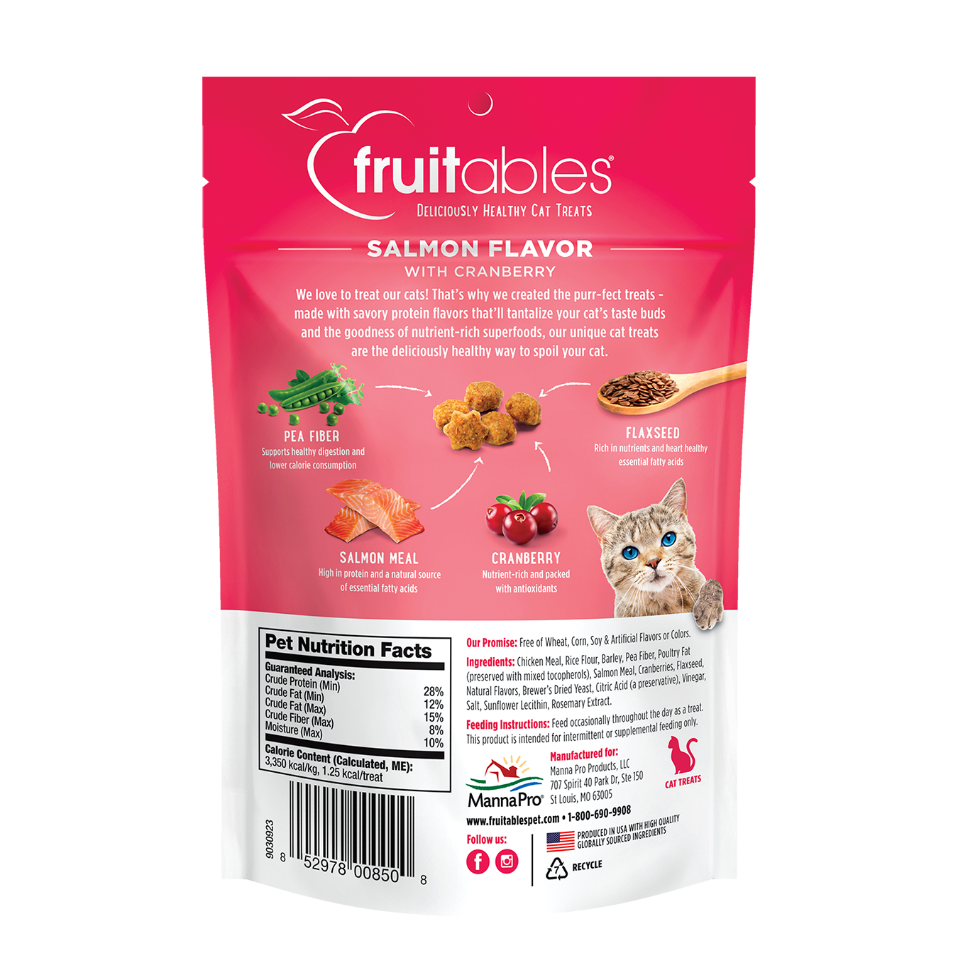 Fruitables Salmón y Arándonos - Snacks para Gatos