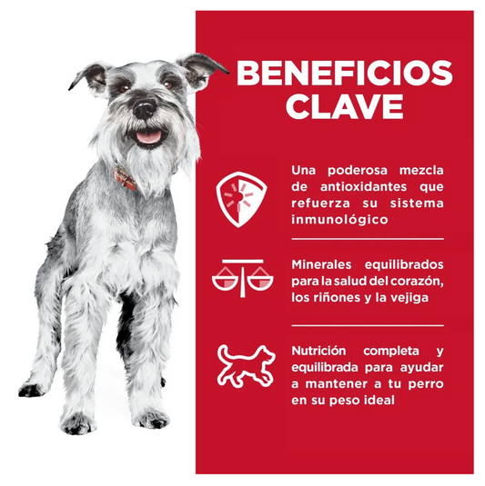 Hills Adult 7+ Small and Mini Chicken Tray - Alimento Húmedo para Perros