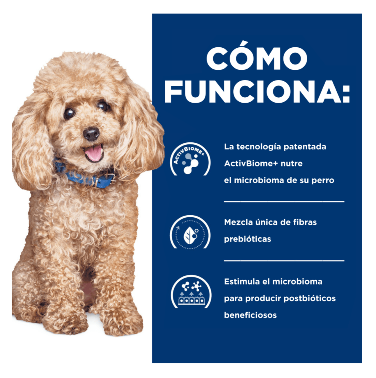 Hill's Prescription Diet Gastrointestinal Biome Small Bites - Alimento para Perros