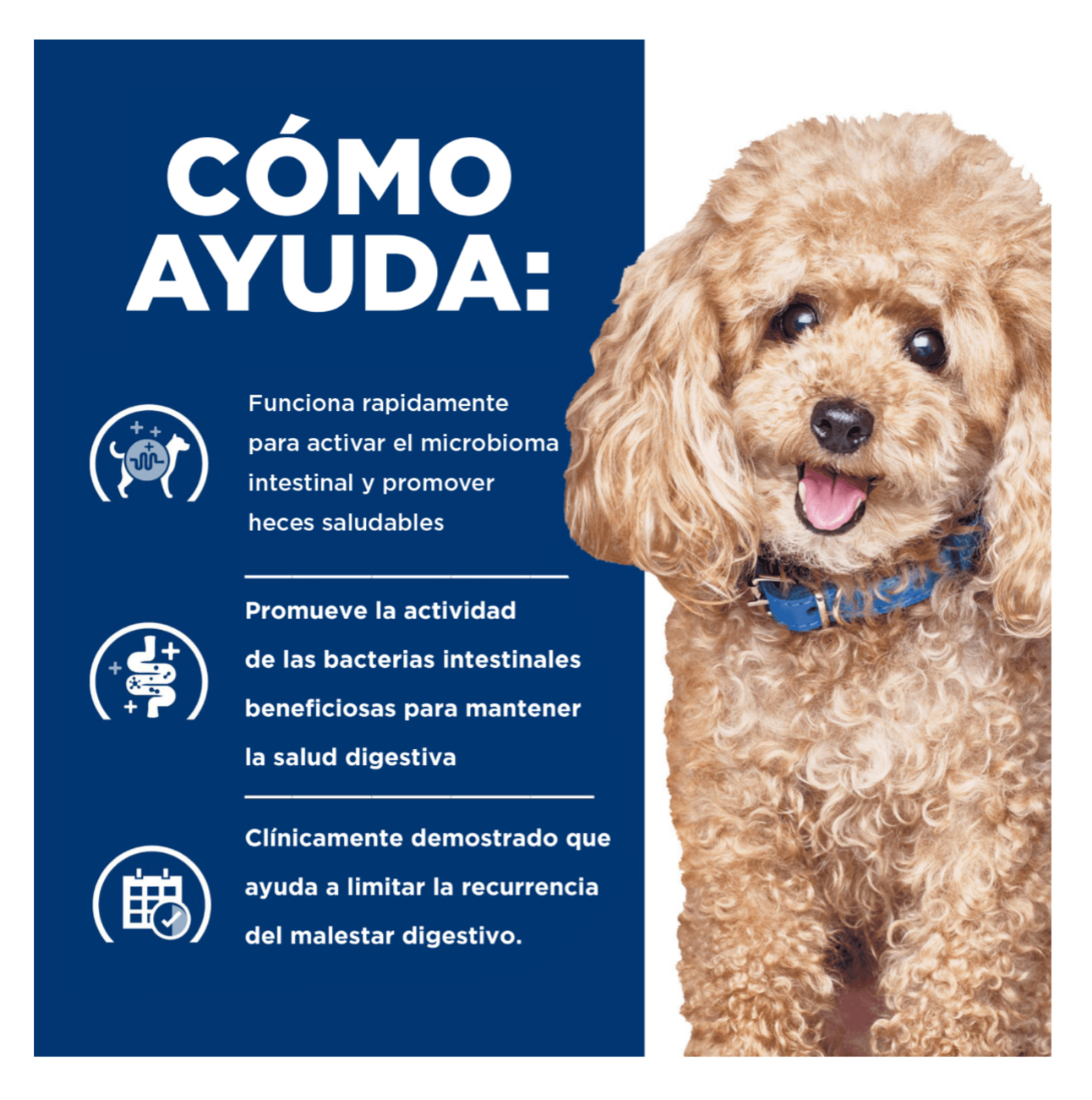 Hill's Prescription Diet Gastrointestinal Biome Small Bites - Alimento para Perros