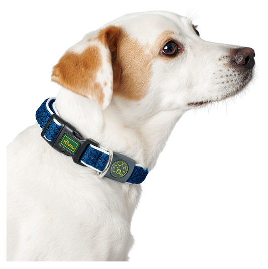 Hunter Collar Hilo Vario Basic Blue - Collares para Perros