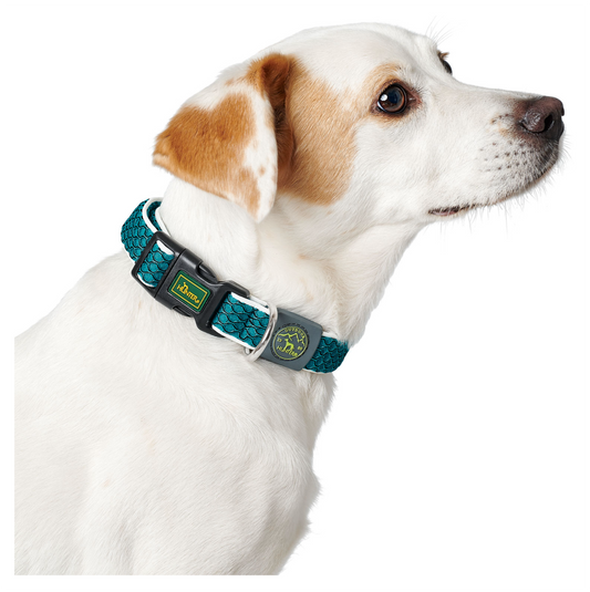 Hunter Collar Hilo Vario Basic Turquoise - Collares para Perros