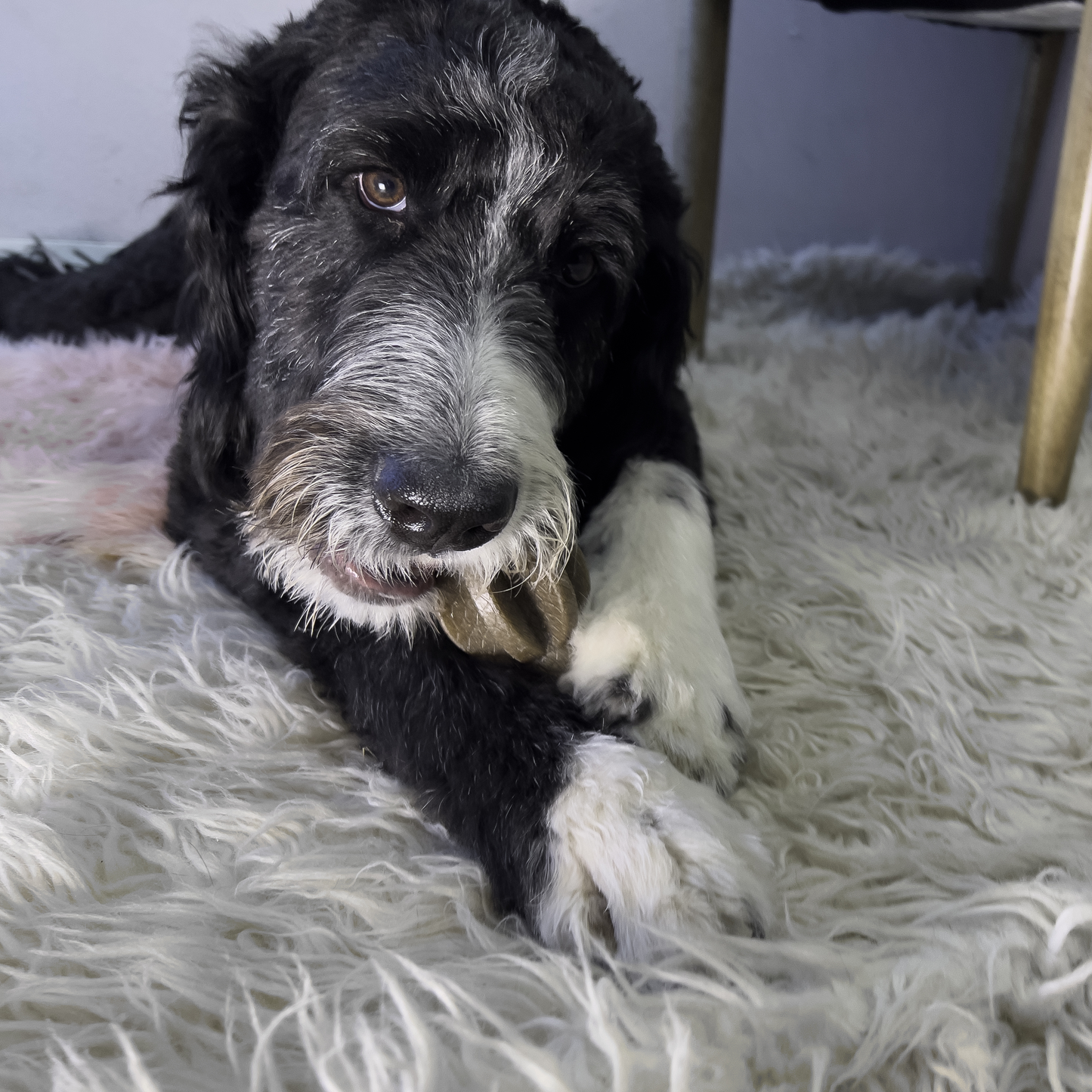 Kong Bamboo Rockerz Stick - Juguetes para Perros