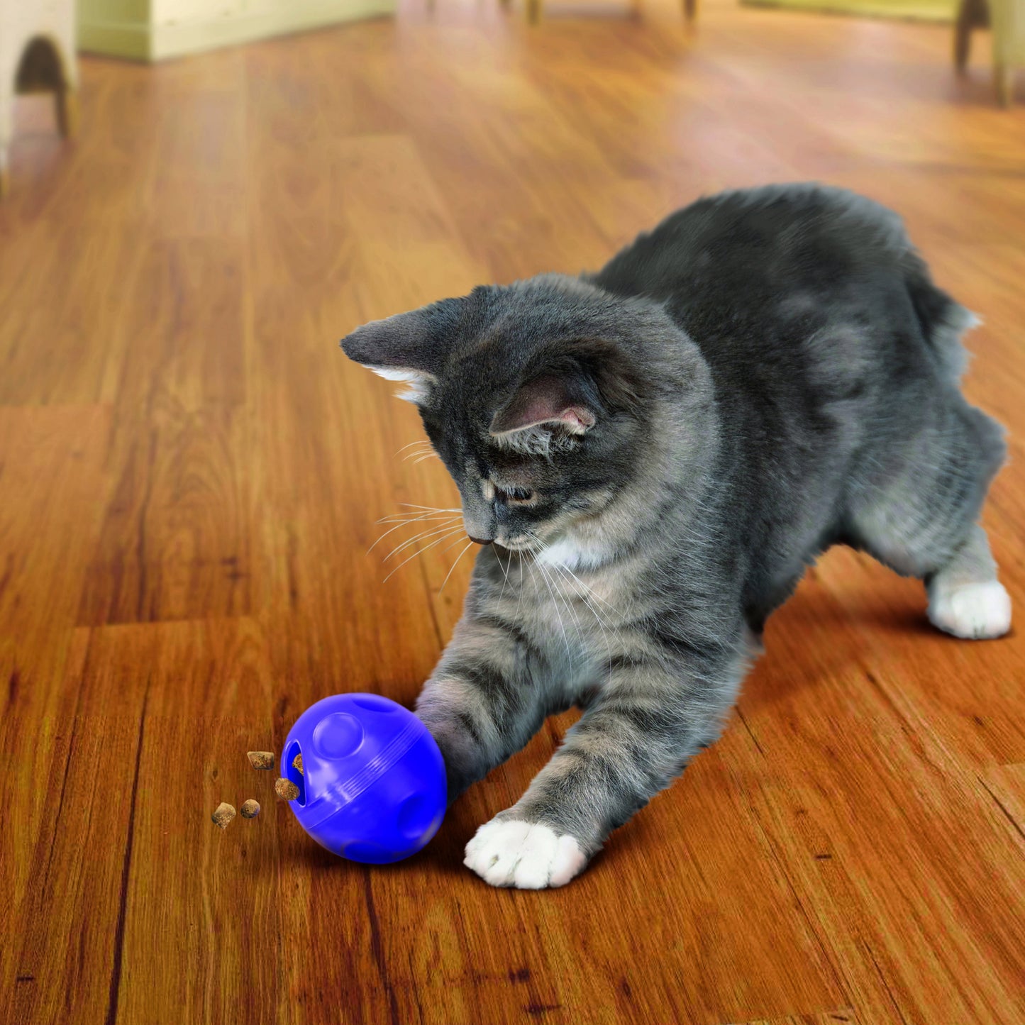 Kong Cat Treat Dispensing Ball - Juguetes para Gatos