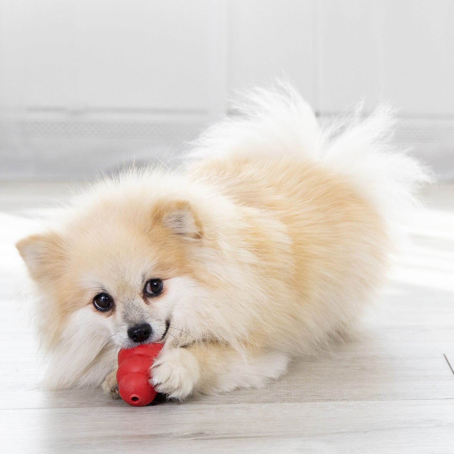 Kong Classic Portapasabocas - Juguetes para Perros