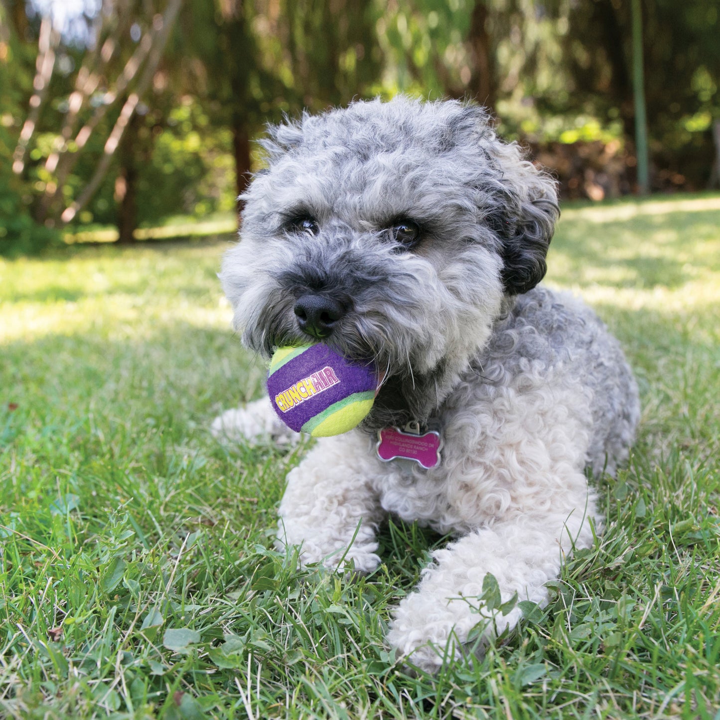 Kong CrunchAir Balls - Juguetes para Perros