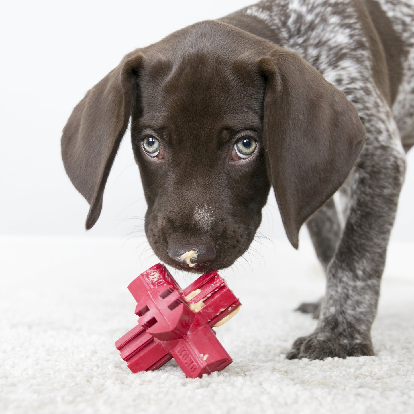 Kong Jump'N Jack Medium - Juguetes para Perros
