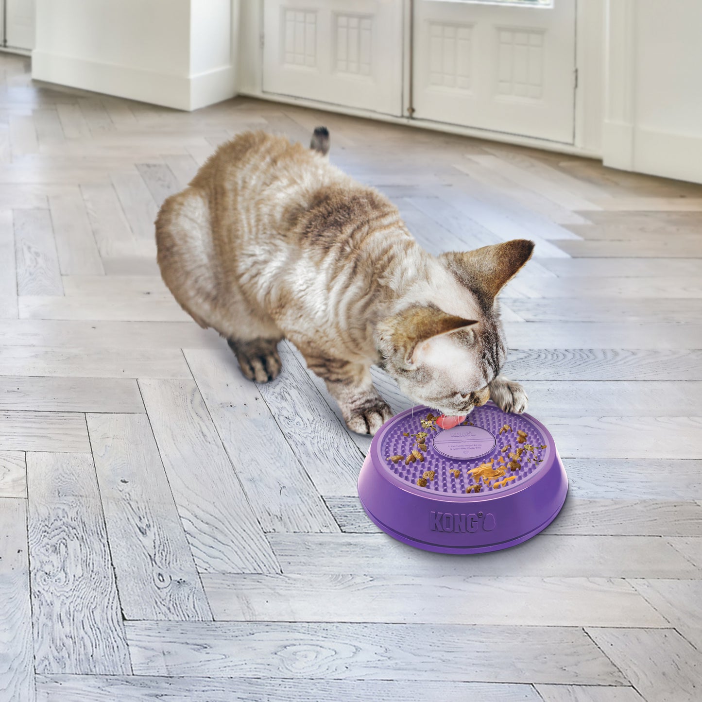 Kong Licks Spinz - Juguetes para Perros y Gatos