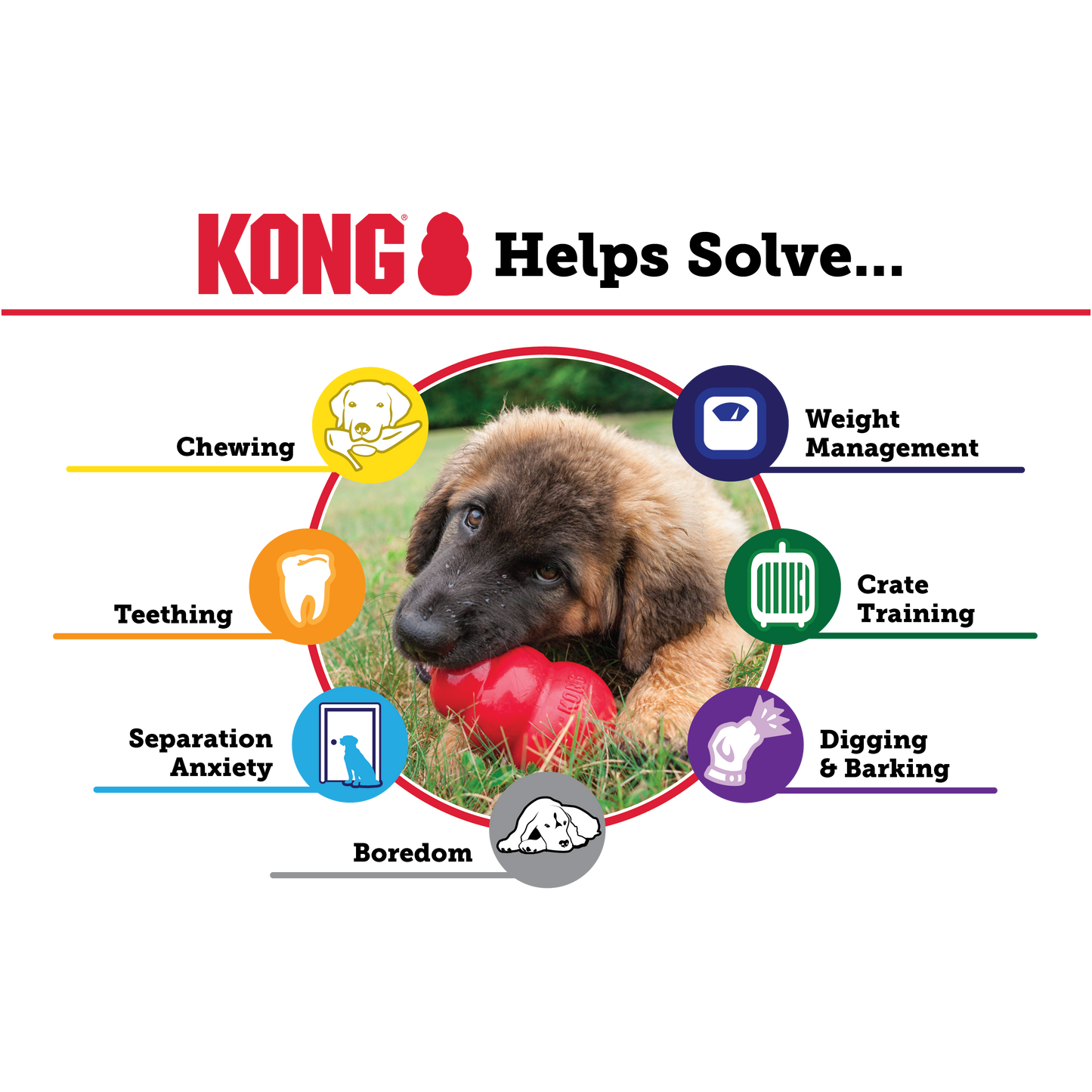 Kong Senior Medium - Juguetes para Perros