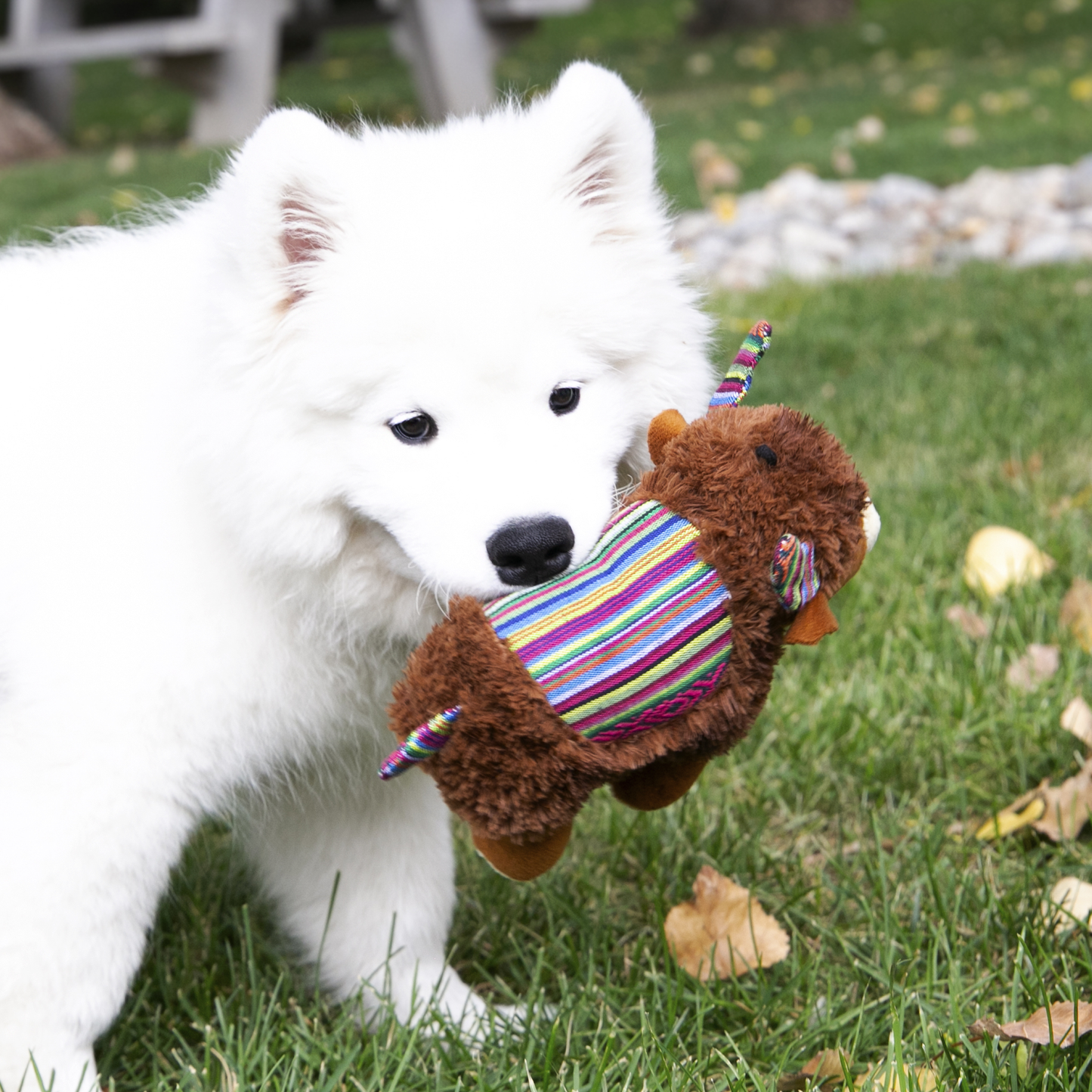 Kong Sherps Yak Medium - Juguetes para Perros