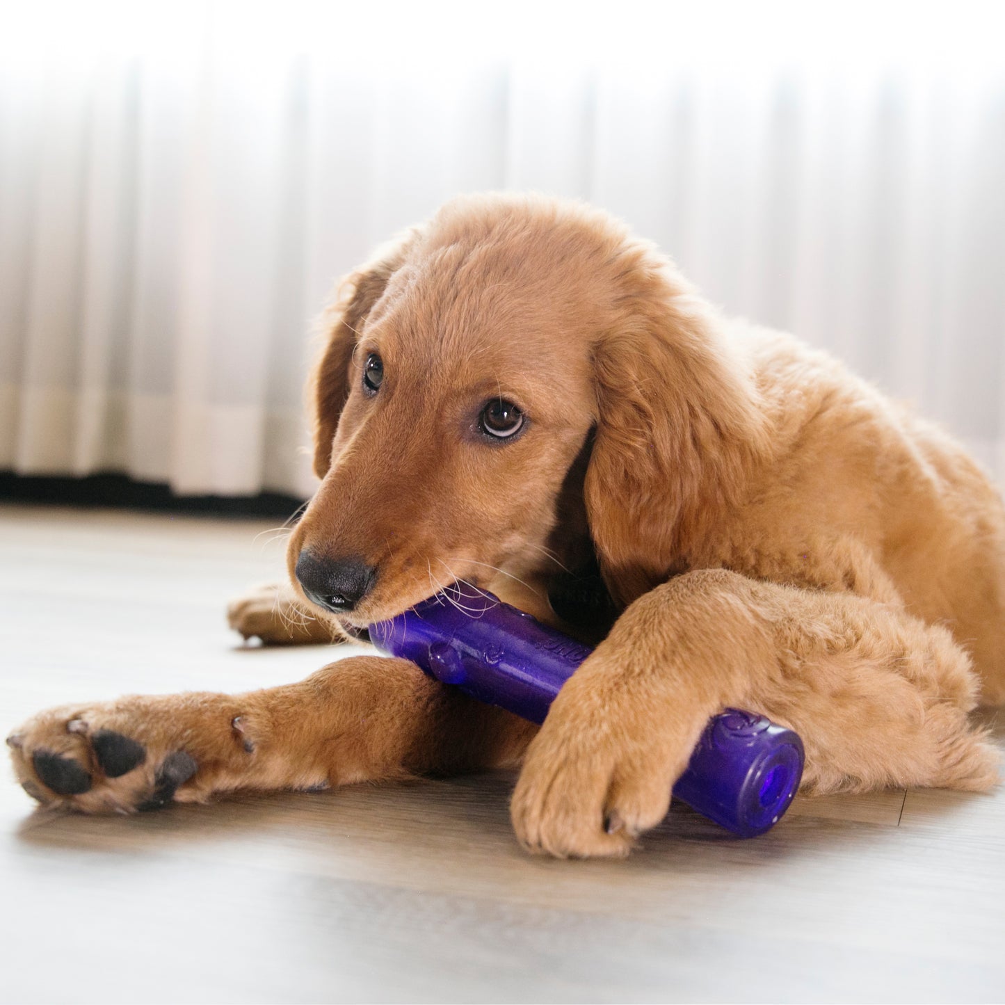 Kong Squeezz Crackle Stick - Juguetes para Perros