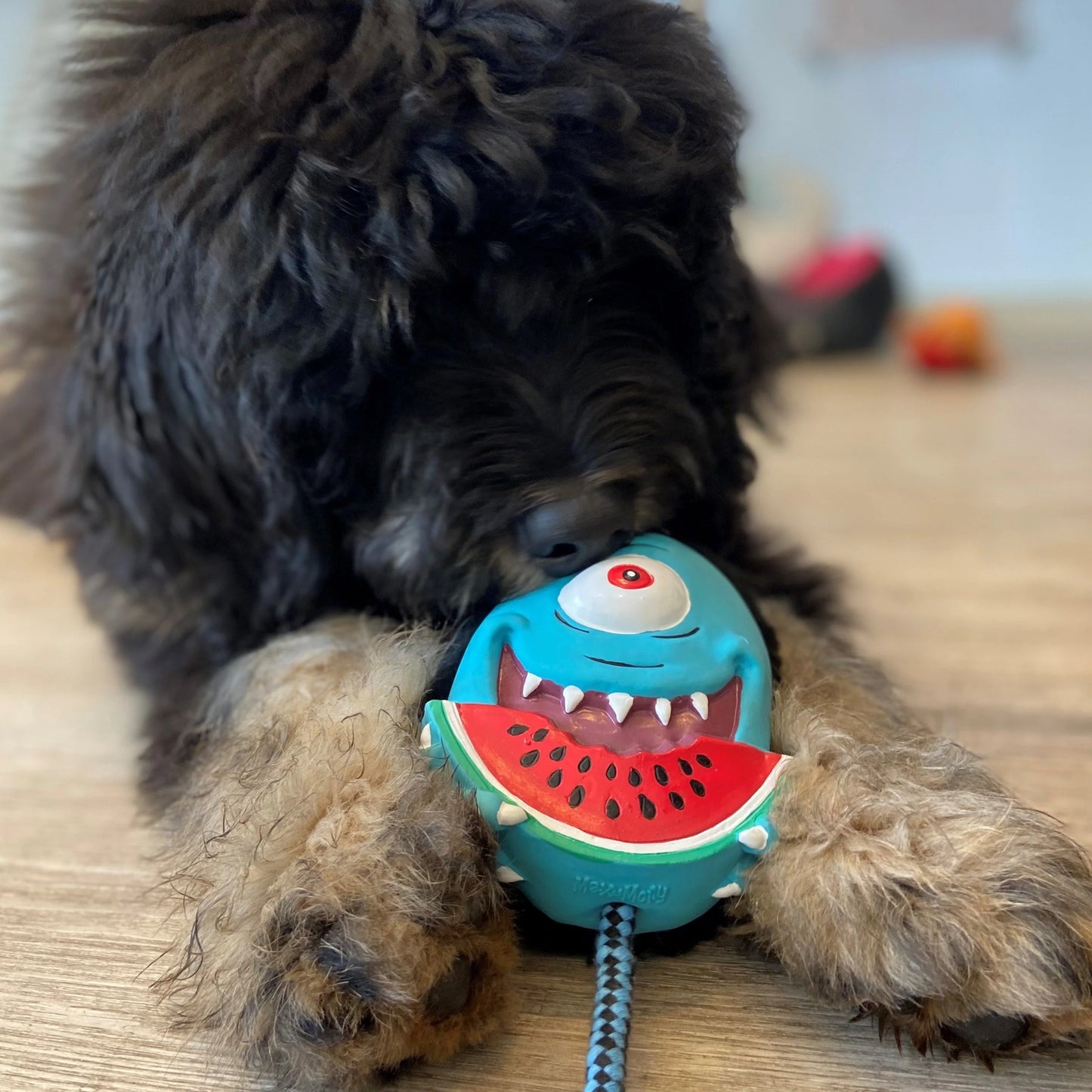 Max and Molly Snuggles Toy Bubba King - Juguetes para Perros