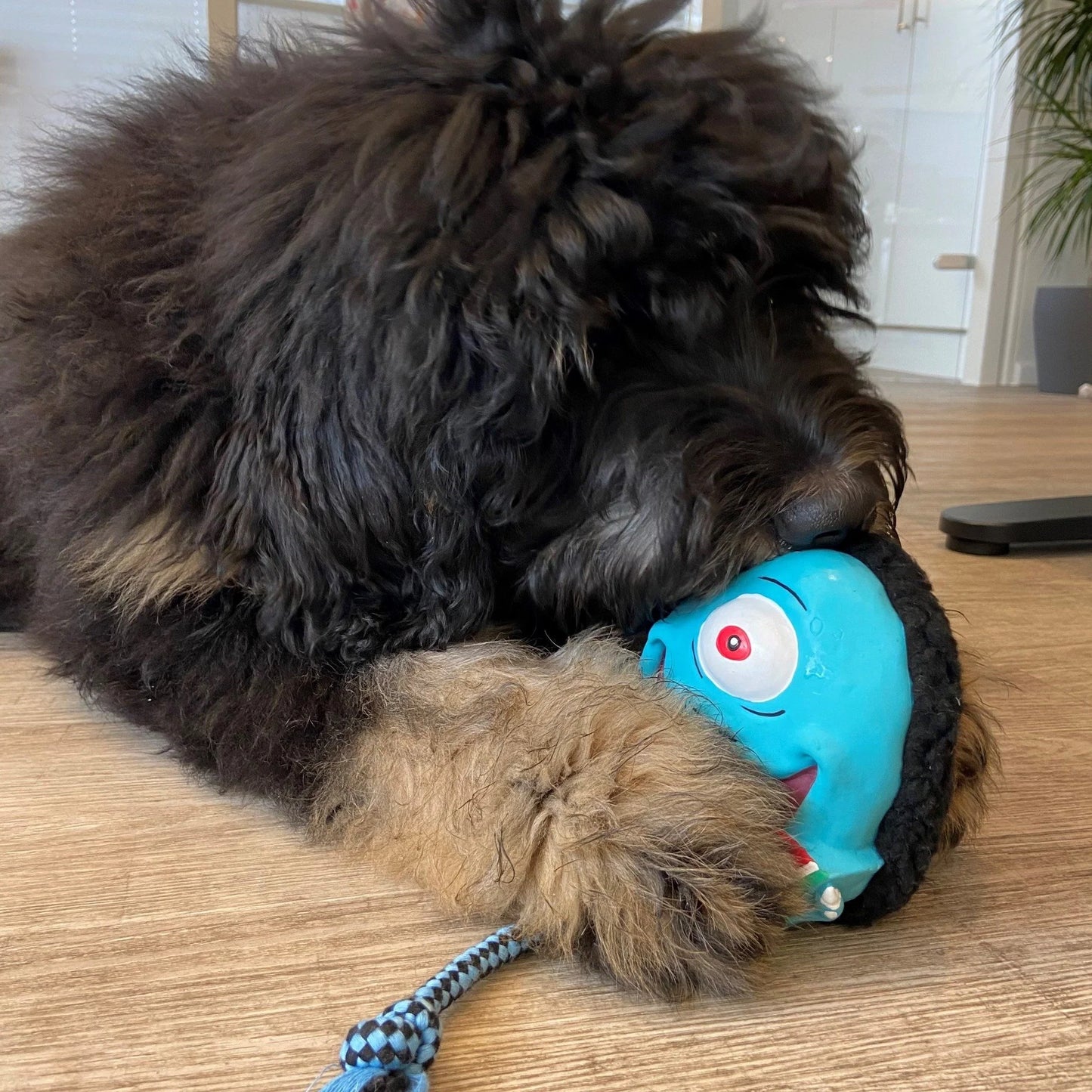 Max and Molly Snuggles Toy Bubba King - Juguetes para Perros