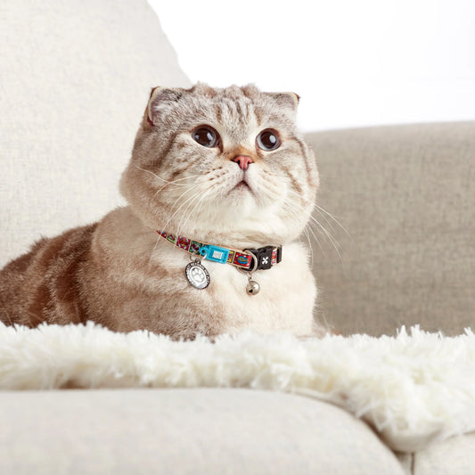 Max and Molly Smart ID Cat Collar Comic - Collar para Gato