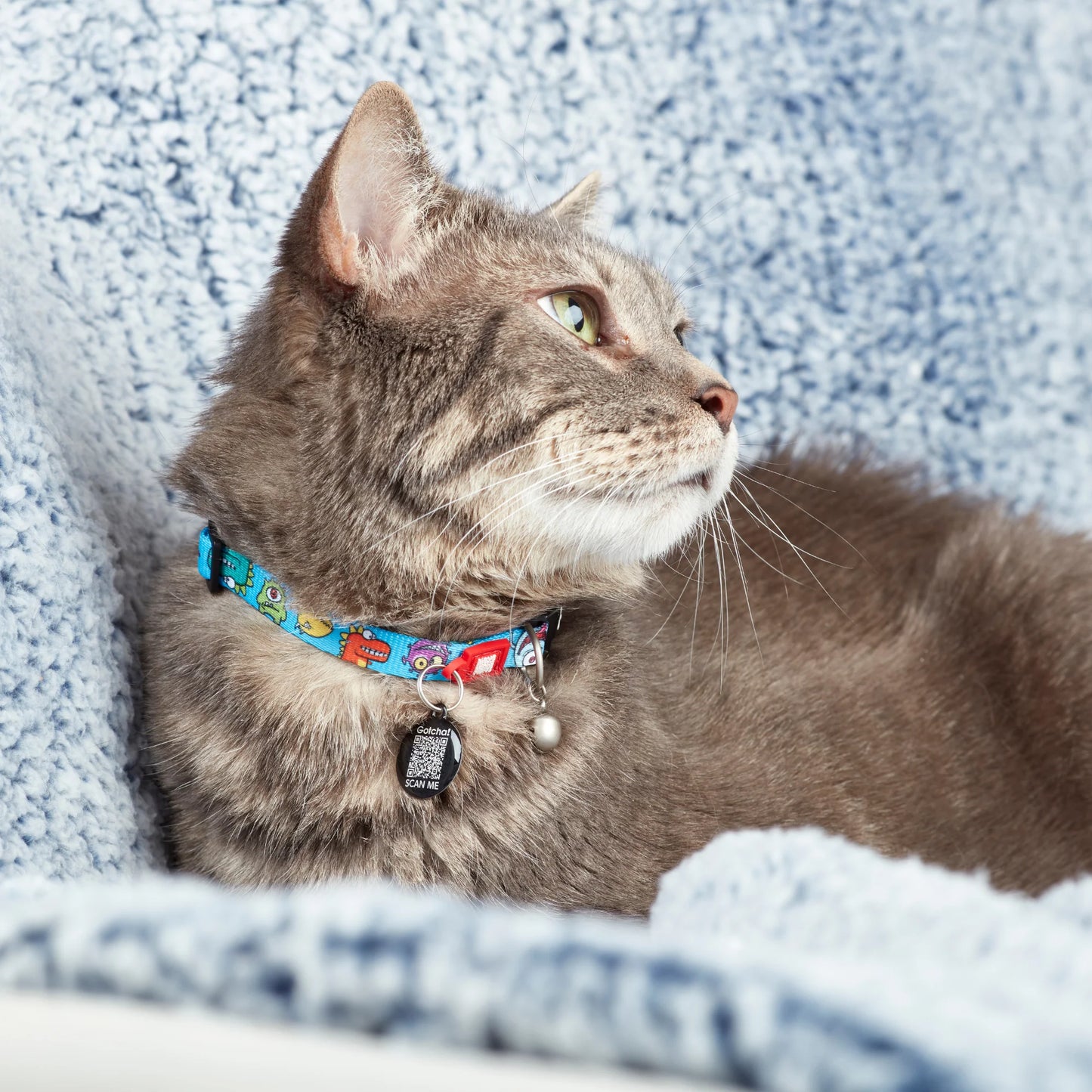 Max and Molly Smart ID Cat Collar Little Monsters - Collar para Gatos