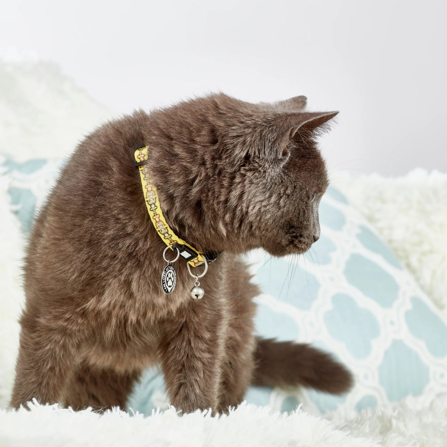 Max and Molly Smart ID Cat Collar Monkey Maniac - Collar para Gatos