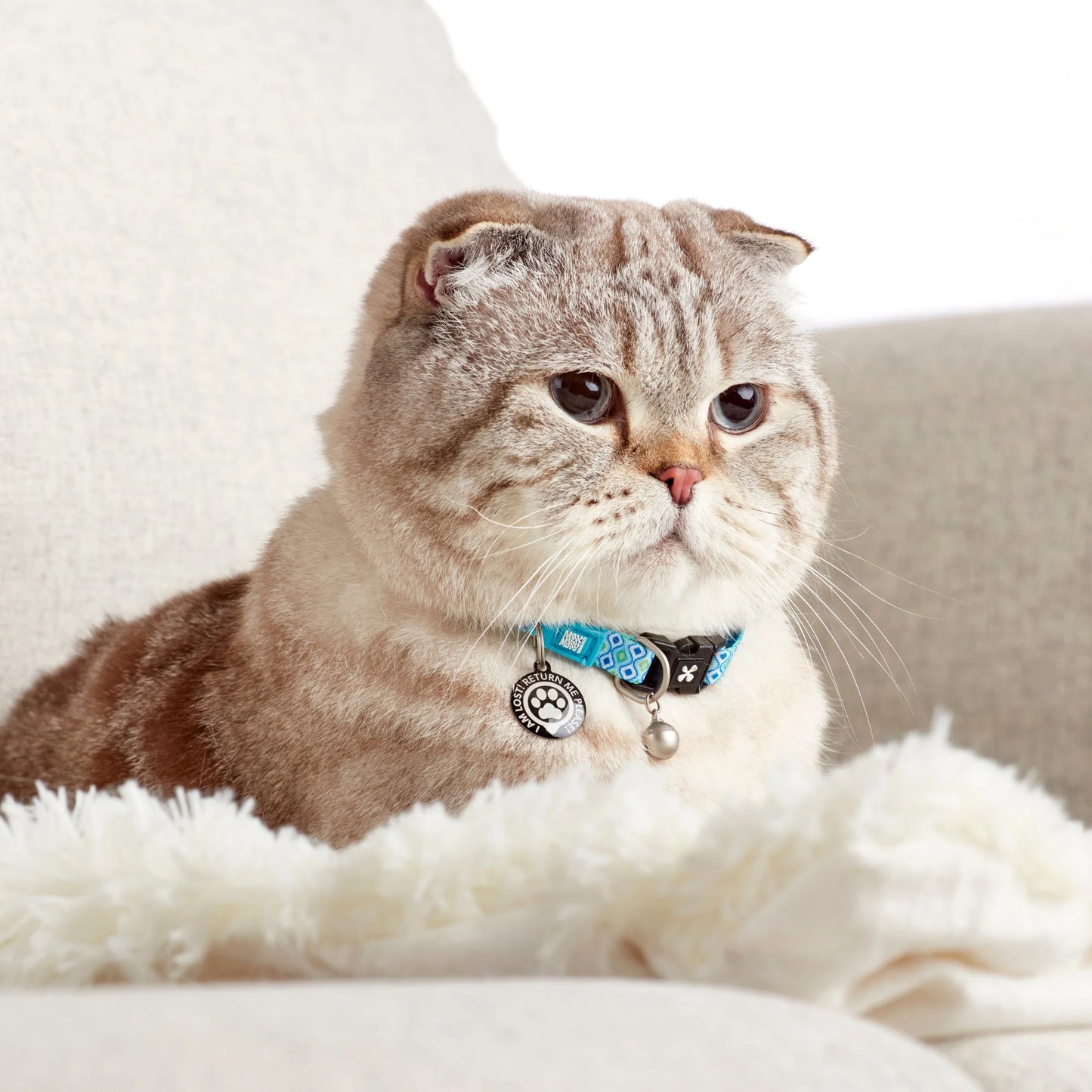 Max and Molly Smart ID Cat Collar Retro Blue - Collar para Gatos