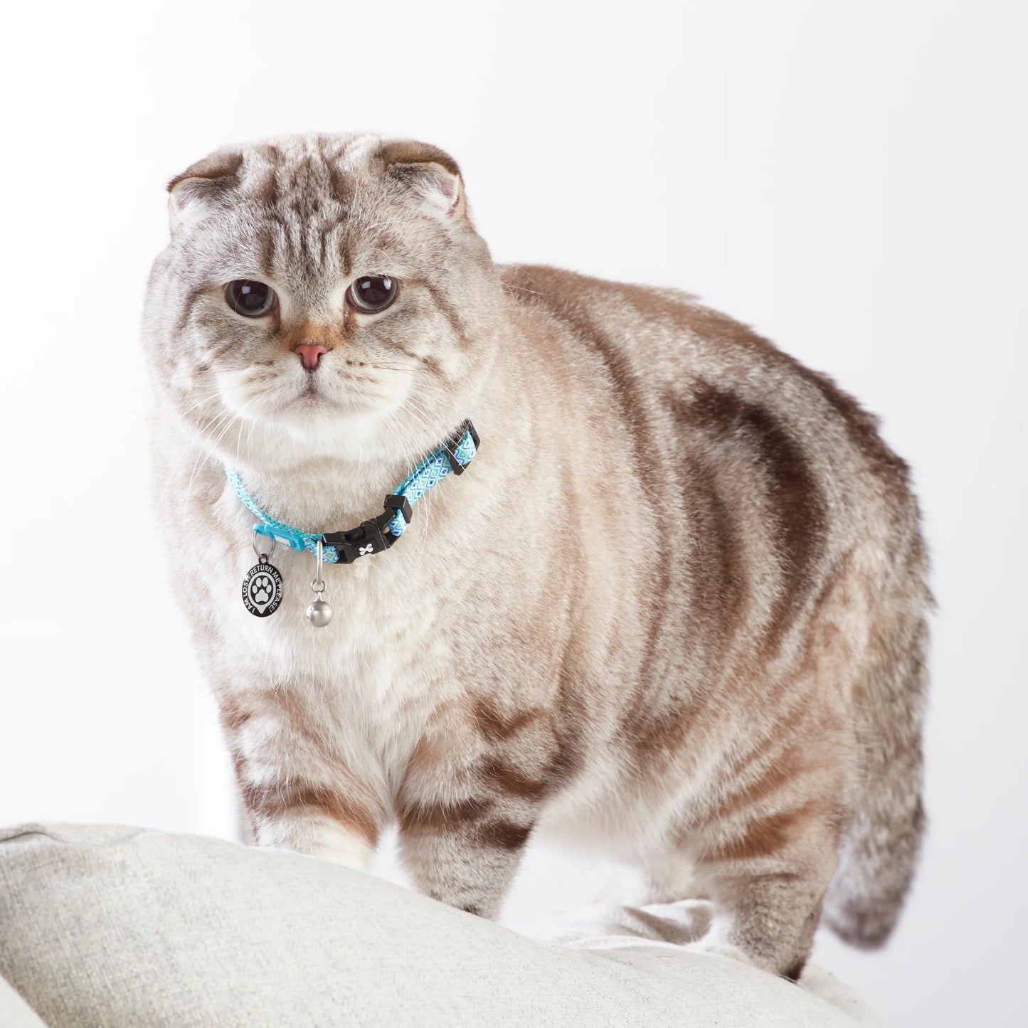 Max and Molly Smart ID Cat Collar Retro Blue - Collar para Gatos